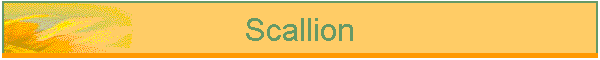 Scallion